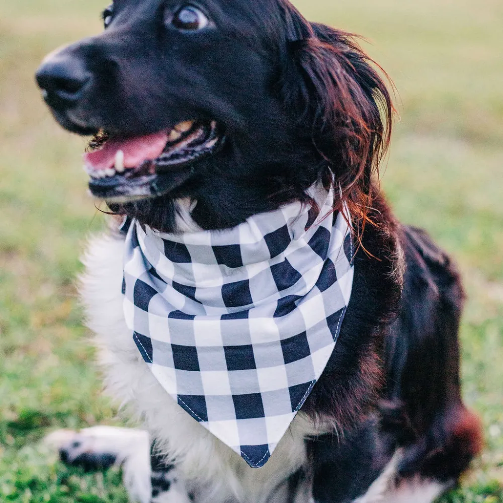 Buffalo Check - Pet Bandana