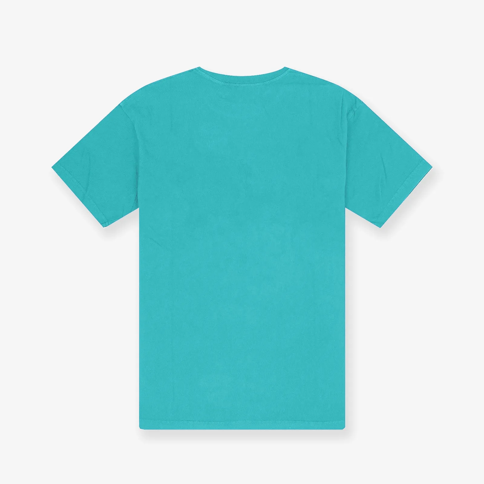 Charlotte Hornets Hoop Tee - Faded Teal