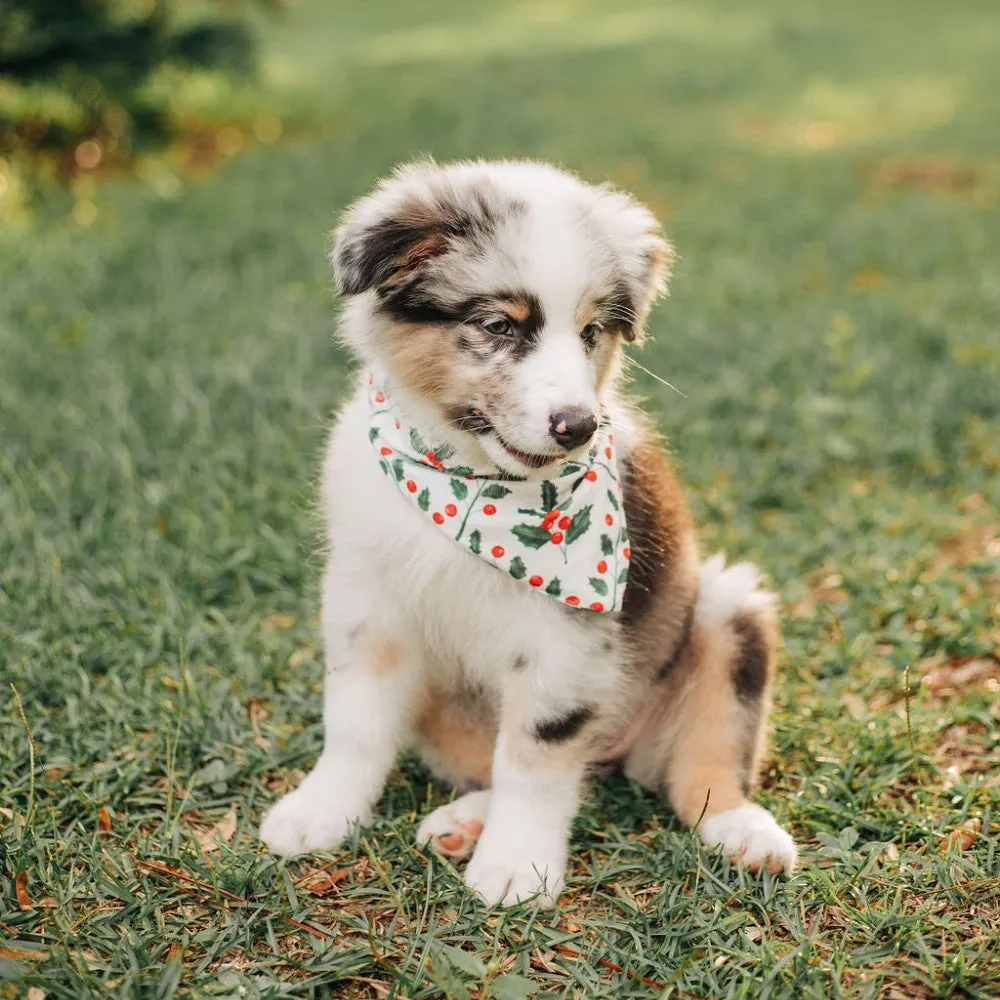 Holly Pattern - Pet Bandana