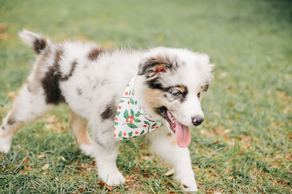 Holly Pattern - Pet Bandana